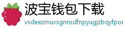 波宝钱包下载